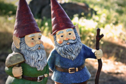 100615gnomes