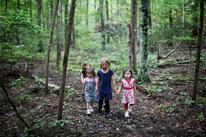 6184117566_c2bfc2f419_z