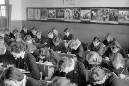 museums-victoria-n1LIveUPls4-unsplash