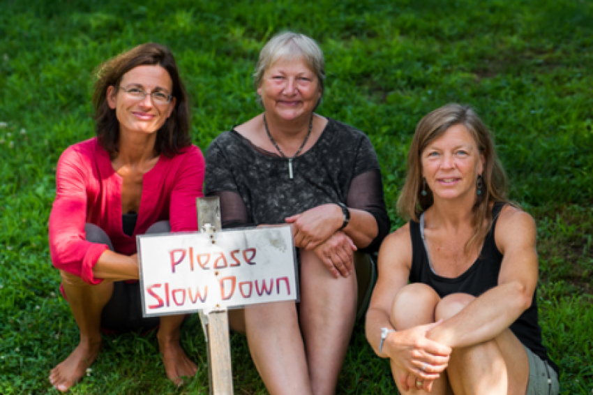 rsz_please_slow_down-470×313